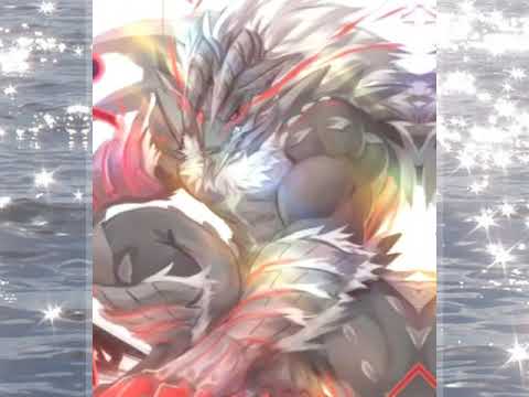 AMV     Furry#64