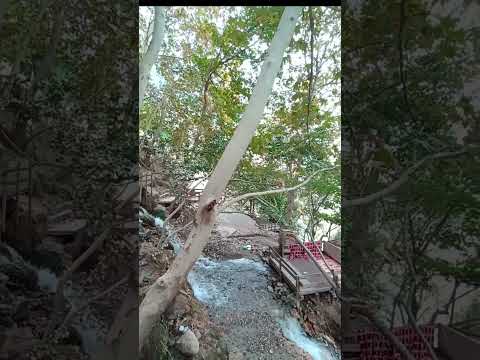 k.maraş ılıca savruk şelalesi