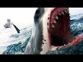 Documentary Nature - Shark Attacks