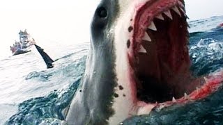 Naked Science - Shark Attacks