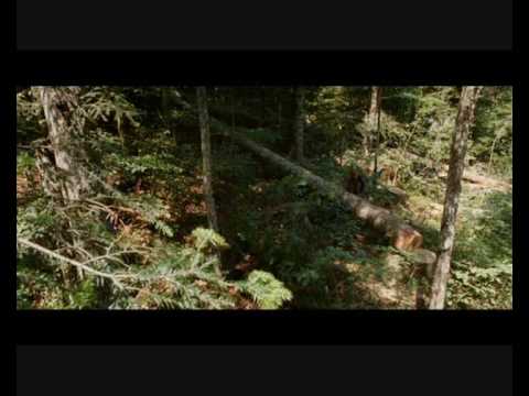 Paz e Comunhão - João Alexandre
