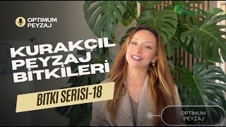 EGE BÖLGESİ'NDE KULLANILABİLECEK KURAKÇIL PEYZAJ BİTKİLERİ NELERDİR? P