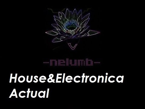 Nelumb - Live Mix - House & Electronica actual - Actual House & Electronic music