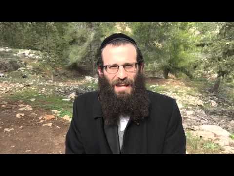 Reb Yoeli- stand on your head if you have to