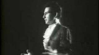 Tav Falco : Born To Late