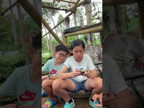 Saturday Kids Unplugged Bali