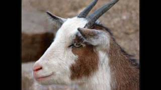 Antonio aguilar EL CHIVO