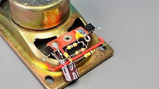 Download lagu DIY Bird Sound Doorbell Using Basic Parts mp3