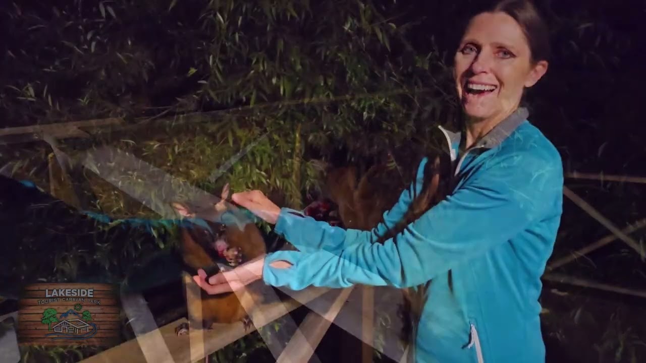 76 Lakeside Road, Eugenana, TAS, 7310 For Sale Elders Real Estate