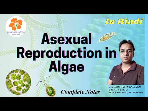 Asexual Reproduction in Algae | Zoospores | Aplanospores | Hypnospores | Akinetes | Hyterocyst |