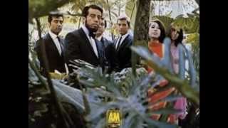 Sergio Mendes Brasil '66 - For What It's Worth