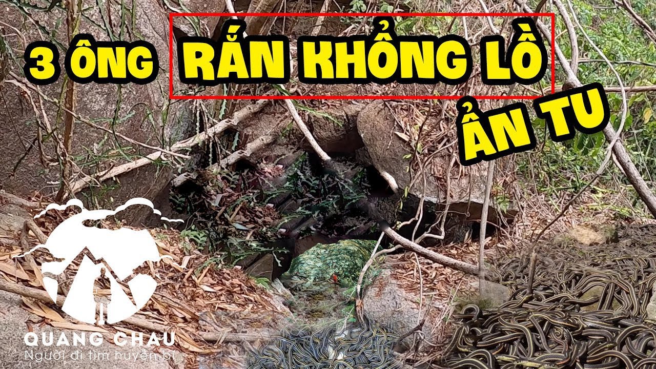 Lạnh người khi tìm thấy hang ổ 3 ông dài Khổng Lồ ẩn tu trong hang Hàm Rồng
