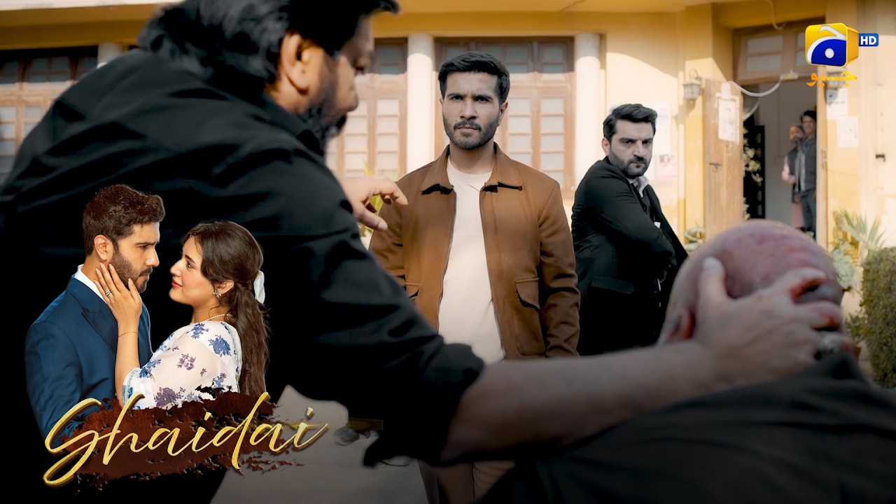 Akela Larka Bana Sab Par Bhari 🔥 || Shaidai || Har Pal Geo