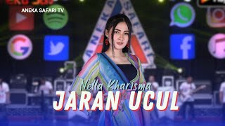 Download lagu Karaoke - Jaran Ucul - Nella Kharisma ( Video Karaoke ANEKA SAFARI) mp3