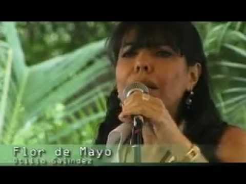 Flor de Mayo   Ynarhú