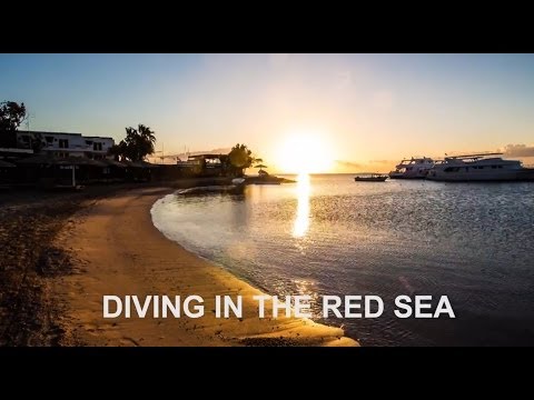 Highlights des Roten Meeres