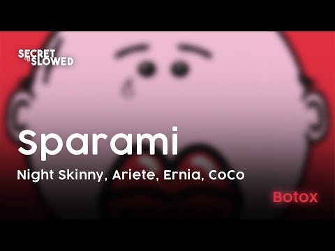 Sparami ft. Ariete, Ernia, CoCo - Night Skinny ( Slowed & Reverb )