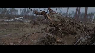 drewnofromlas - Pada Pada (2019)
