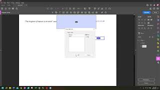 How to add popup text box in Adobe