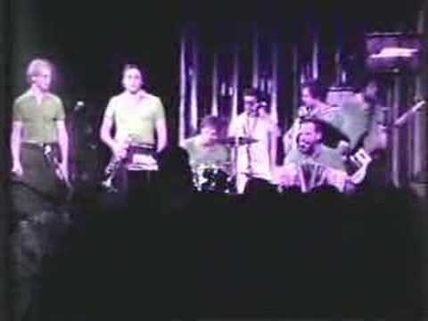 Dynatones  White Table Polka  Frm. the 80's