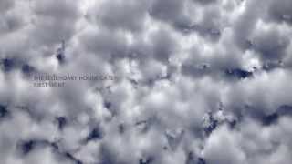 First Light - The Legendary House Cats