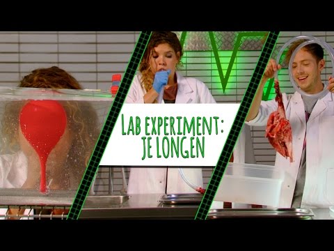 HOE WERKEN JE LONGEN? - LAB EXPERIMENT