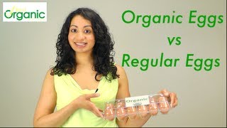 Organic Eggs vs. Regular Eggs