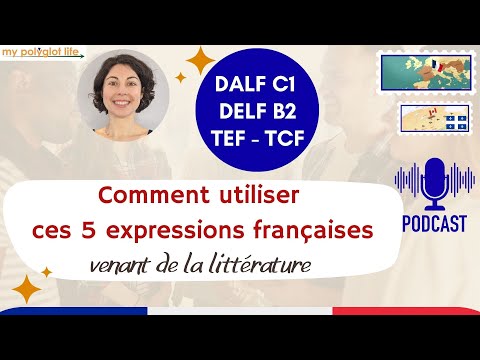 DALF C1 Vocabulaire | Utiliser 5 EXPRESSIONS françaises venant de la littérature