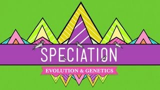 Speciation: Of Ligers&Men - Crash Course Biology #15