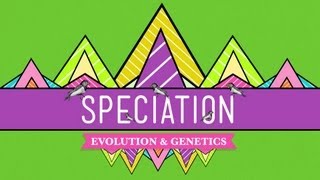 Speciation: Of Ligers & Men - Crash Course Biology #15