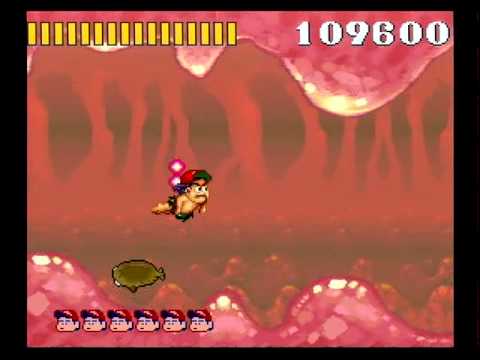 Super Adventure Island Wii