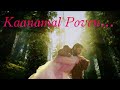 New Romantic Love Song Seramal Ponal Gulaebaghavali Whatsapp Video Status