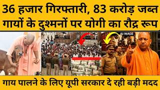 CM Yogi ने गौसंरक्षण पर किए 3 बड़े काम,दुश्मनों पर हंटर,गौमाता बनीं रोजगार का जरिया I COW PROTECTION