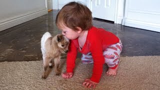 Cutest Baby and Animal Moments Around the World Showing Pure Love 🥰