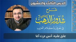 صورة المجلس الثالث والعشرون من شرح شذور الذهب - أنس عزت آغا