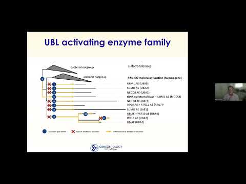 TreeGrafter and InterProScan