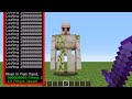 How Much Iron Will I Get