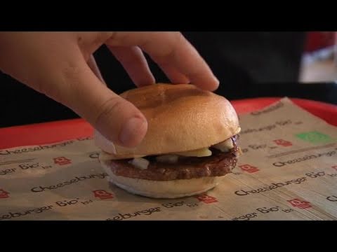 download lagu mp3 mp4 Hamburger Bio, download lagu Hamburger Bio gratis, unduh video klip Hamburger Bio