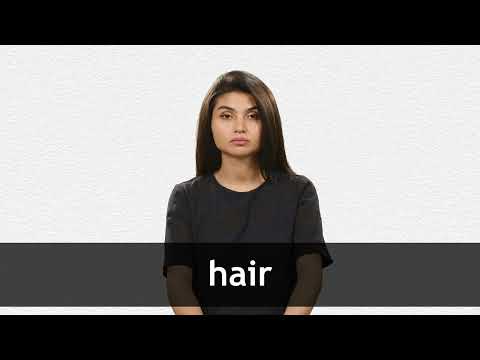 Hair definition and meaning | Collins English Dictionary
