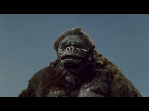 HMV: We're the Titans