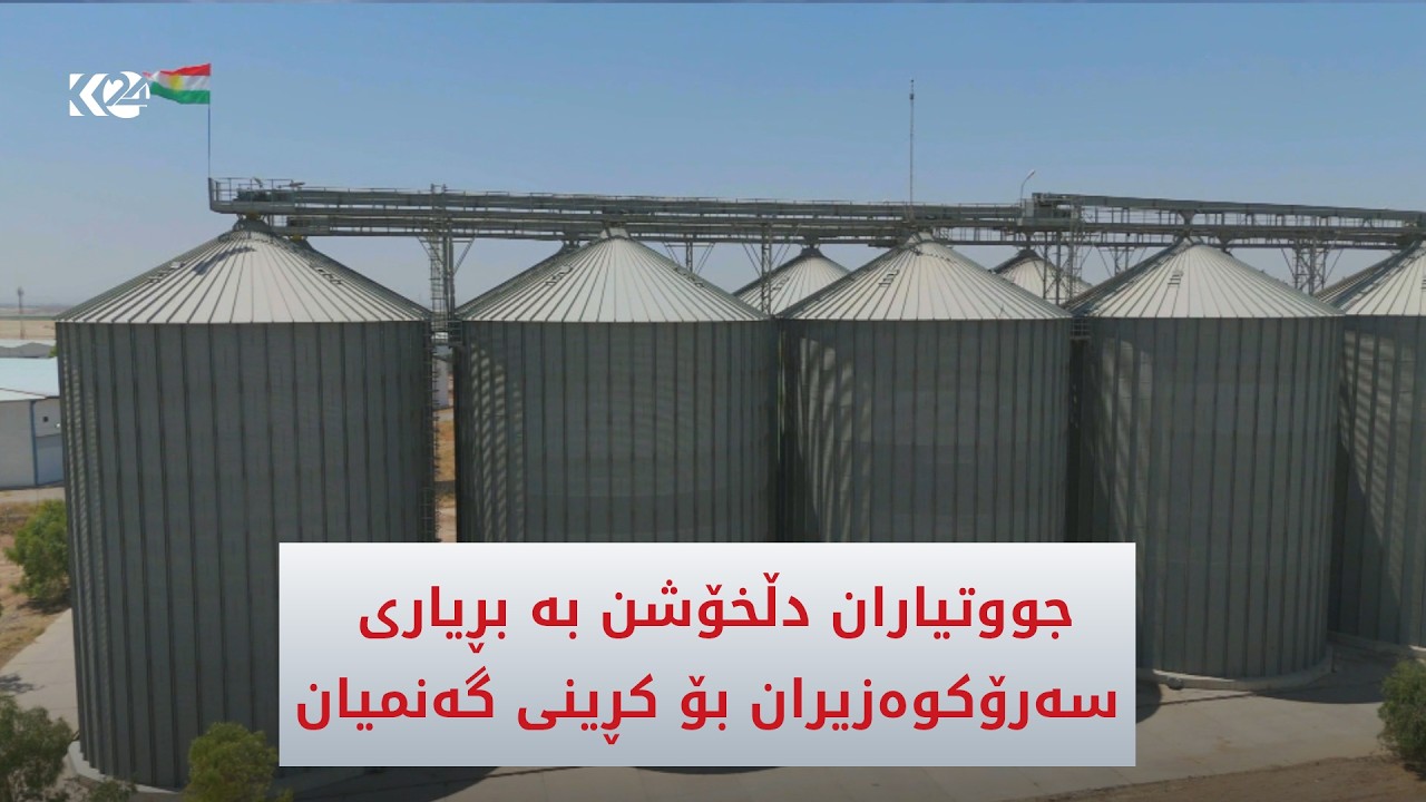 ڤیدیۆ | جووتیاران دڵخۆشن بە بڕیاری سەرۆکوەزیران بۆ کڕینی تەواوی گەنمەکانیان