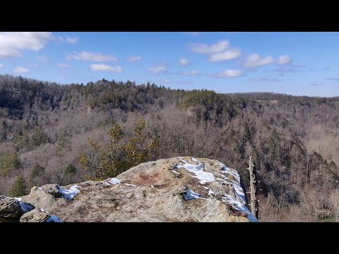 Buzzard's Roost North and South: Hidden Trails at Red River Gorge