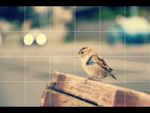 Drawing Grid
