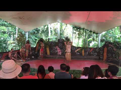 Aborjin amcalarımın yöresel dansı 3