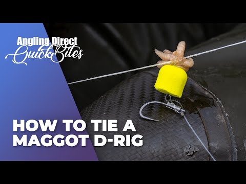 So bindest du das perfekte Maden-D-Rig - Karpfenangeln QuickBite