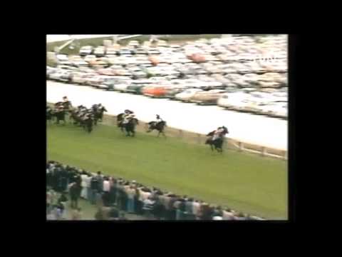 Fifty Greatest In Fifty Years Selected Australian Racehorse Performances
