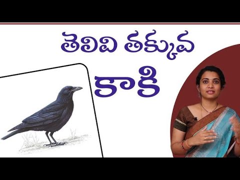 Knowledgeless Crow || Amulya || Telugu Story Telller