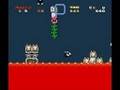 Super Mario World Custom Level Hell