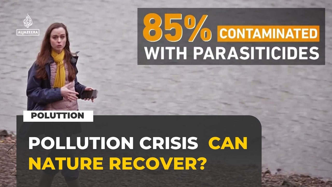 UK rivers polluted by chemicals and sewage as water reforms loom