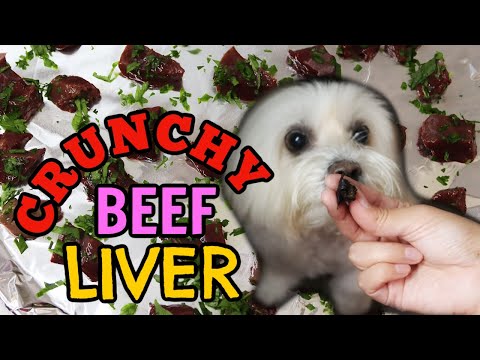 Homemade TREATS Crunchy Beef Liver for DOGS I Lorentix